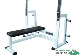 Ravni bench